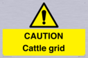 caution-cattle-grid~
